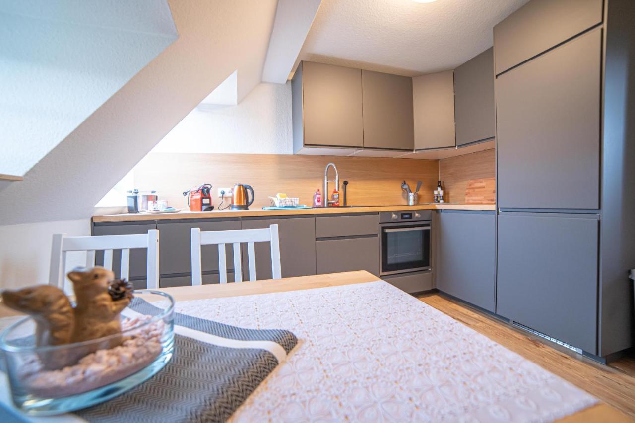 Apartmán Fullhouse - Zwickau - L8 - Balcony - Smarttv - Nespresso Exteriér fotografie